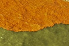 lama samarco rio doce