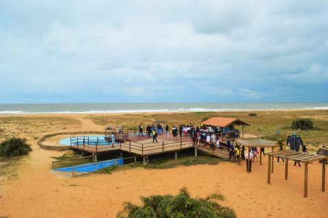 tanques reabilitação de tartarugas rebio comboios