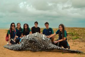 estudantes e replica de tartaruga de couro rebio comboios