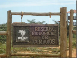 entrada rebio comboios es