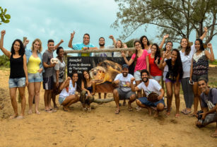 participantes curso tartaruga regencia linhares es
