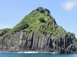 irmao de fora visto no passeio de barco