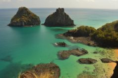 baia dos porcos sensacional