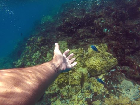 mergulho livre no sancho noronha