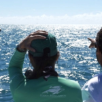 Expedicao "As-Baleias de Abrolhos" 2022, uma parceria Natura Ecoturismo e Projeto Baleia Jubarte (Foto: Projeto Baleia Jubarte)