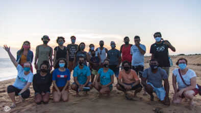 curso biologia reprodutiva tartartugas marinhas