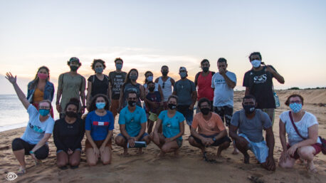 curso biologia reprodutiva tartartugas marinhas