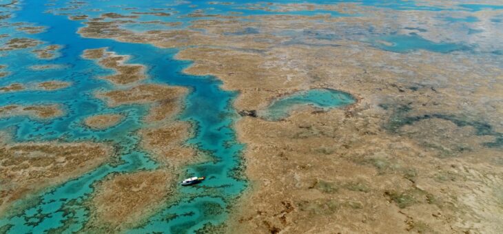 3 curiosidades sobre Abrolhos que você precisa saber